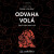 Odvaha volá - Ryan Holiday