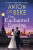 One Enchanted Evening - Anton Du Beke