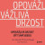 Opovážlivá drzost být sám sebou - Jan Menděl,David Toegel