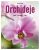 Orchideje - Druhy, pěstování, péče - Joachim Erfkamp