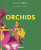 Orchids - Anja Klaffenbach