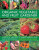 Organic Vegetable and Fruit Gardener - Christine Lavelle,Michael Lavelle