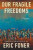 Our Fragile Freedoms - Essays - 