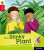 Oxford Reading Tree Explore with Biff, Chip and Kipper: Oxford Level 4: The Stinky Plant - Paul Shipton