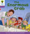 Oxford Reading Tree: Level 1+: Decode and Develop: The Enormous Crab - Roderick Hunt,Annemarie Young