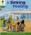 Oxford Reading Tree: Level 2: Patterned Stories: A Sinking Feeling - Roderick Hunt