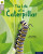 Oxford Reading Tree Word Sparks: Level 1: The Life of a Caterpillar - Sam Hogan