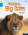 Oxford Reading Tree Word Sparks: Level 3: Helping Big Cats - Isabel Thomas