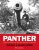 Panther - Německý pokus o získání převahy na bojišti - Michael Green,Gladys Green