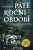Páté roční období - N.K. Jemisinová