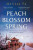 Peach Blossom Spring - Melissa Fu