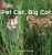 Pet Cat, Big Cat - Alison Hawes