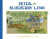 Peter in Blueberry Land - Elsa Beskow