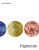 Pigments - Barbara H. Berrie,Karin Leonhard,Ittai Weinryb,Caroline Fowler