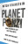 Planet Ponzi - Mitch Feierstein