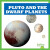 Pluto and the Dwarf Planets - Vanessa Black