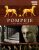 Pompeje - Paul Wilkinson
