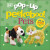 Pop-Up Peekaboo! Pets - DK