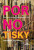 Pornotisky - České erotické a pornografické časopisy po roce 1989 - Radim Kopáč,Josef Schwarz