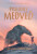 Posledný medveď - Hannah Goldová