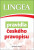 Pravidla českého pravopisu - kolektiv autorů