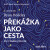 Překážka jako cesta - Ryan Holiday