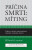 Príčina smrti: Míting - Patrick M. Lencioni
