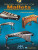 Primary Handbook for Mallets - 