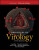 Principles of Virology, Volume 1 - Anna Marie  Skalka,Vincent R.  Racaniello,Theodora  Hatziioannou,Jane  Flint,Glenn F.  Rall