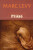 Příště - Steven Levy