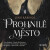 Prohnilé město - Leigh Bardugová