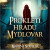 Prokletí hradu Mydlovar - Martina Novotná