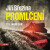 Promlčení - Jiří Březina