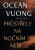 Průstřely na nočním nebi - Ocean Vuong