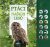 Ptáci našich lesů - Andrea Pinningtonová,Caz Buckingham
