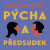 Pýcha a předsudek - Jane Austenová