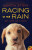 Racing in the Rain - Garth Stein