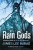 Rain Gods - James Lee Burke