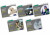 Read Write Inc. Phonics: Grey Set 7 Non-fiction books (Mixed Pack of 5) - Gill Munton