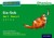 Read Write Inc. Phonics: Six Fish (Green Set 1 Storybook 3) - Gill Munton