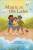 Reading Planet KS2: Magic at the Lake - Stars/Lime - Aisha Bushby