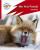 Reading Planet: Rocket Phonics â€“ Target Practice - We Are Foxes - Red A - Sasha Morton