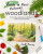Ready to Paint Postcards: Woodlands - Geoff Kersey