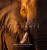 Remembering Elephants - 