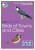 RSPB ID Spotlight - Birds of Towns and Cities - Taylor Marianne