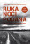 Ruka noci podaná. Nové, rozšířené vydání - Václav Cílek,Ferdinand Šmikmátor