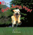 Run, Jump, Hop - John Foster