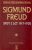 Spisy z let 1917-1920 - Sigmund Freud