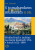 S tomahawkem proti mušketám. Přehled bojů s indiány na území dnešních USA v letech 1622-1890, II. díl - Jiří Černík