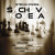 Šachová novela - Stefan Zweig